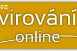 Odvirování PC online